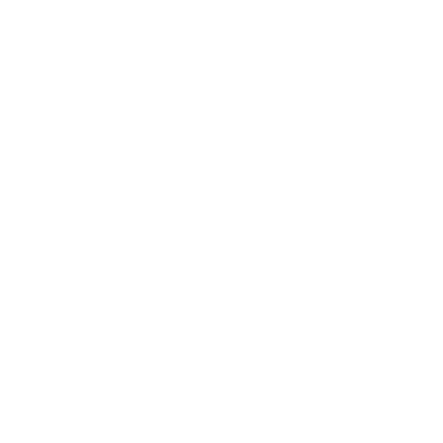 Logo Terre Aquila blanc